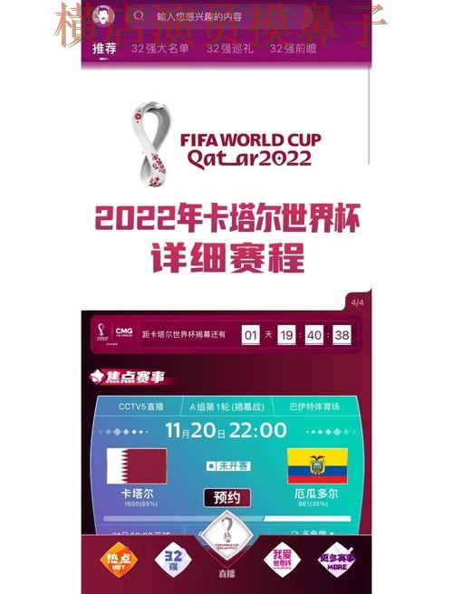 世界杯直播来临，世界杯买球网站访问方式与平台选择精选